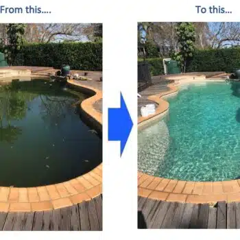 Green pool clean pool