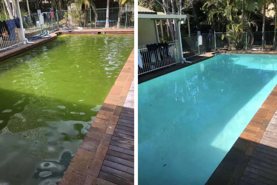 Green Pool to Clean Pool