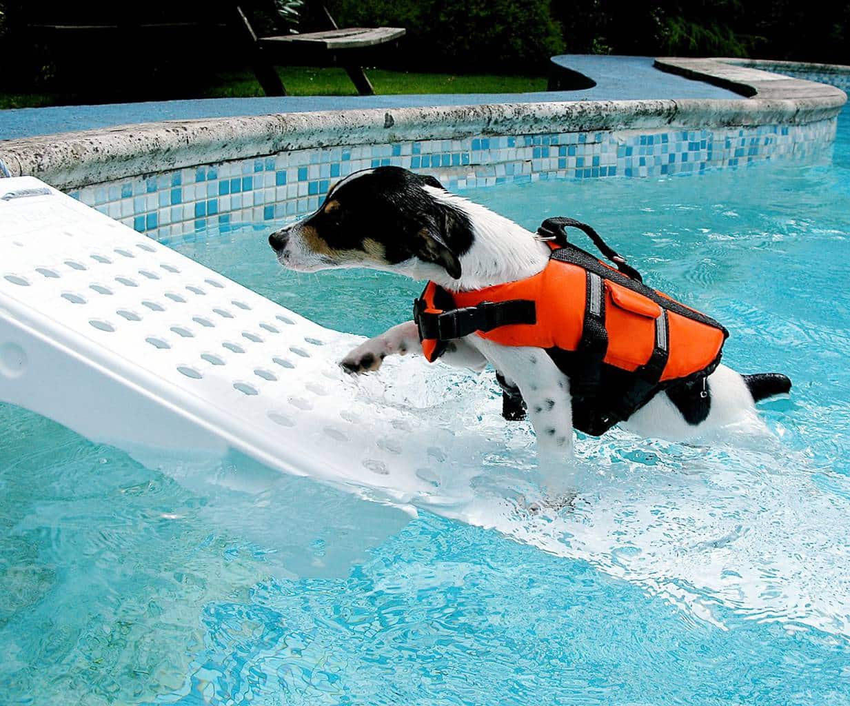 Pool Cleaner Ramp Creative Pool Care Solutions | Jim’s Pool Care