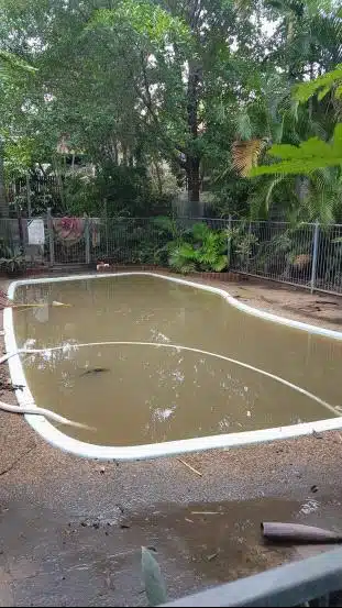 how to clean a brown pool