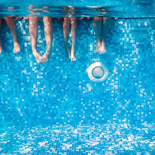 pool heat pump
