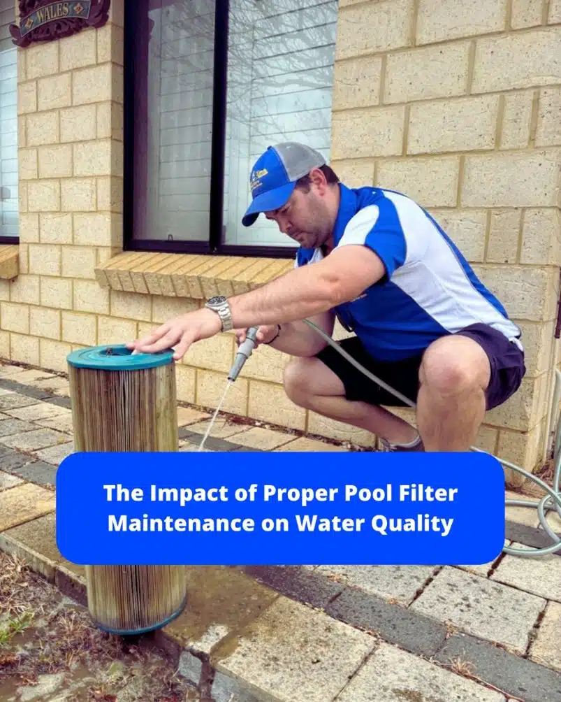 The Impact of Proper Pool Filter Maintenance on Water Quality
