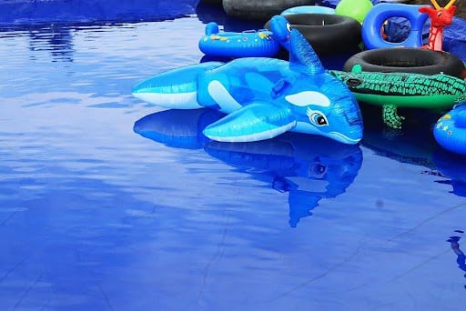 dolphin float on pool