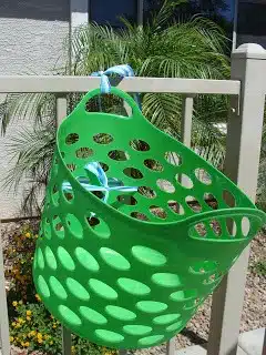 A green basket is suspended from a wooden fence, adding a pop of color to the outdoor setting