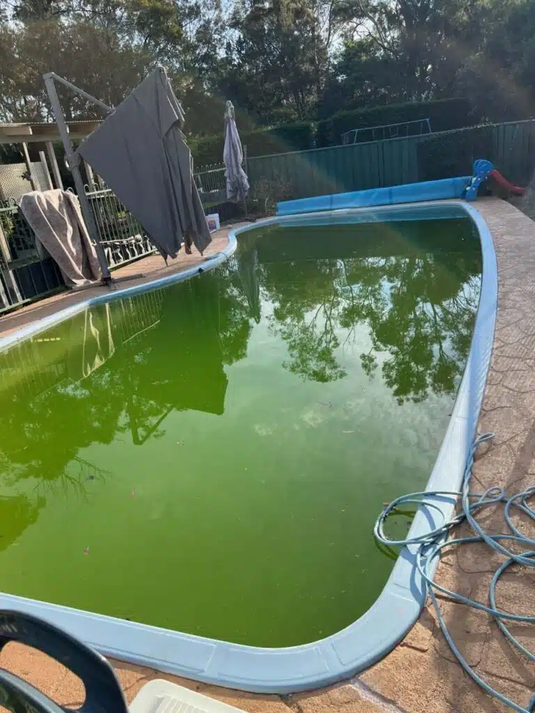 green-pool-recovery-shoalhaven