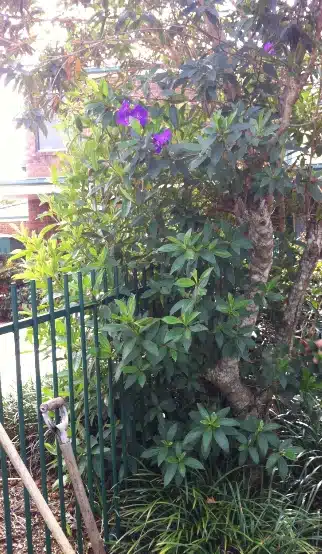 Ensure the Fence Is at Least 1.2 Metres High