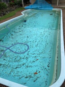 winter-pool-cleaning-jims2