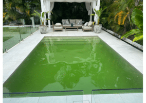 Green Pool Recovery