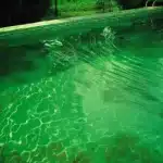 Jim’s Pool Care West Lakes