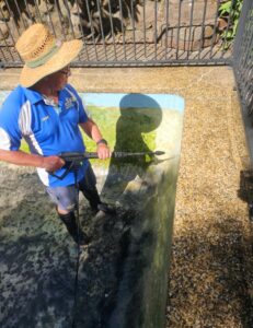 Pool Cleaning Cameron Park