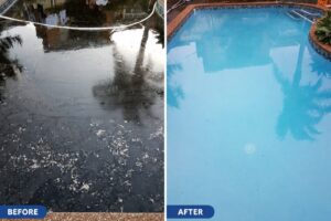 Pool Cleaning Randwick