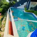 Skimming leaves and debris from the surface of a Wellington Point swimming pool